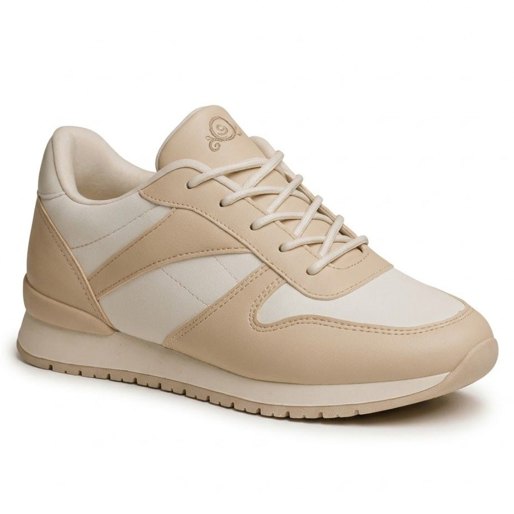 Beige and white sneaker on a white background
